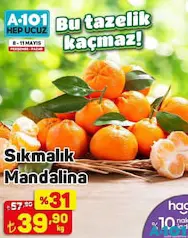SIKMALIK MANDALİNA KG